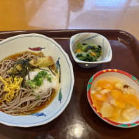 香り山椒の冷やしとろろ蕎麦