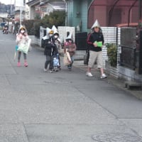 やっとブログの更新
