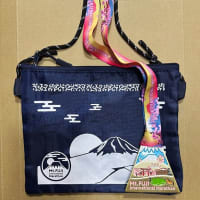 富士山マラソン2025への道TATTA RUN シリーズ春 完走