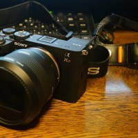 行くぜ、東北。 そして、 Leica Elmarit 90mm F2.8。 - SAILIN