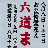 15日、立本寺から大将軍八神社、平野神社への散歩で猛暑日？だより＆癌治療