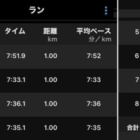 朝ラン７ｋｍ & 兄の墓参り