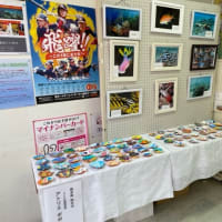 第二回SDGs貝絵アート展示会　宇和島袋町商店街 市民サービスセンター
