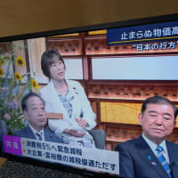 選挙近し