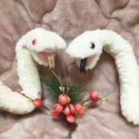 急遽お知らせ