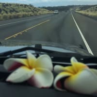 ハワイ旅行①
