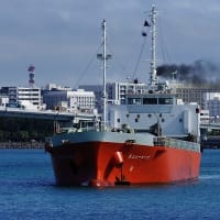 那覇新港に1日張り付いてみた（20250606）