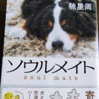 読書11（ソウルメイト）