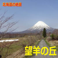 ２０２５　羊蹄山巡り　～望羊の丘～