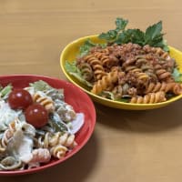 フライ3種☆煮物☆娘から2品☆孫から
