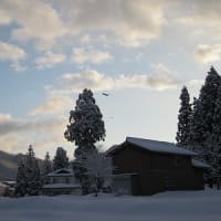 今年はひとつき、雪が早い