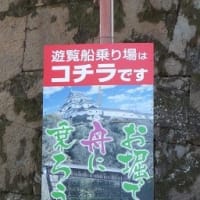 和歌山城と絵手紙展