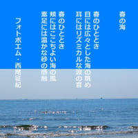 春の海