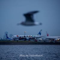 像の鼻テラス（横浜）から羽田空港沖へ