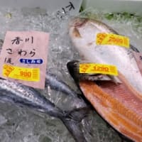 蒸し暑い!