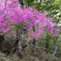 なんて美しい　この世界　Ⅱ