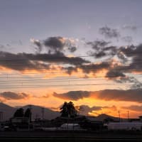 ♪ 夕暮れ散歩 ♪