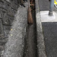 清掃奉仕と隊活動