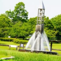 近所の公園