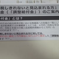 調整給付金