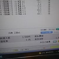 本日のアレ＆競馬収支報告。