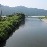 本日の海部川