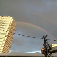 Great rainbow
