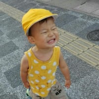 忙しい毎日　
