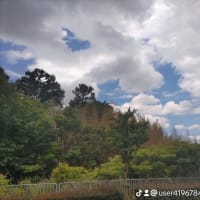 わけて