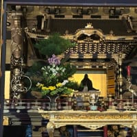 夏至の奈良と京都と琵琶湖を巡る旅5日目〜2024年6月23日