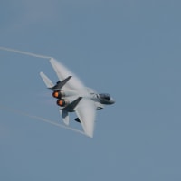 ６／２０　千歳　Ｆ１５