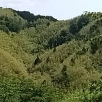 高尾城址公園に行く