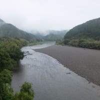 本日の海部川