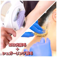 CA(キャビンアテンダント)がお勧め！うなじをキレイにするなら・・・
