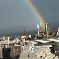 5月31日、拳友会大会を終えた雨上がりの夕方に、大きな虹がかかった。。