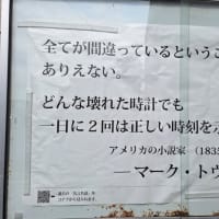 退職の元横綱白鵬の宮城野親方「相撲の未来を世界中の人々とともに築いていく」／コメント全文・・・　間違ったことも許容できる社会！