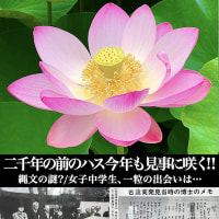 縄文の種の発見者は 女子中学生?!