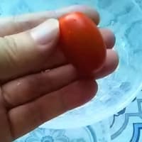 トマト第１号