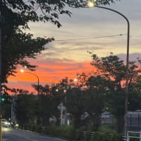 夕焼け
