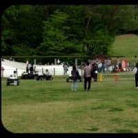 武蔵丘陵森林公園でฅ՞•ﻌ•՞ฅﾜﾝ♡と散歩