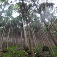 高賀山　（岐阜県関市）
