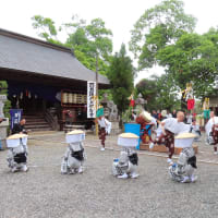 昭和の日奉祝「秋津百石踊り奉納」　５年ぶりの公開に多くの見学者
