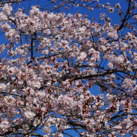 もろじいさんのふとりごと
