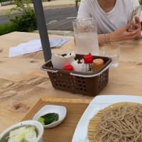 我がミニミニ菜園　初収穫