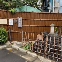 谷中のヒマラヤ杉と谷中富士