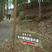 出雲にRide on 脱藩譜！