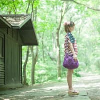 あまりに非科学的な主張