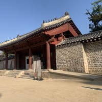 パンダの旅（韓国）　その４