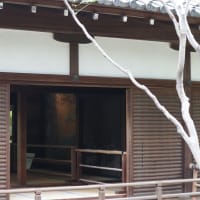 【京都幕間旅情】青蓮院,庭園の緑から読み解く気候変動による温暖化と国際関係への不協和音