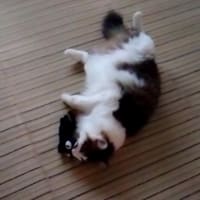 記事がない時のソウタ頼み。その2。